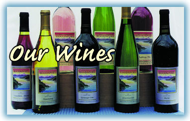 Our Wines