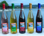 NEW RELEASE APPLE, PEAR and BLACKBERRY WINES